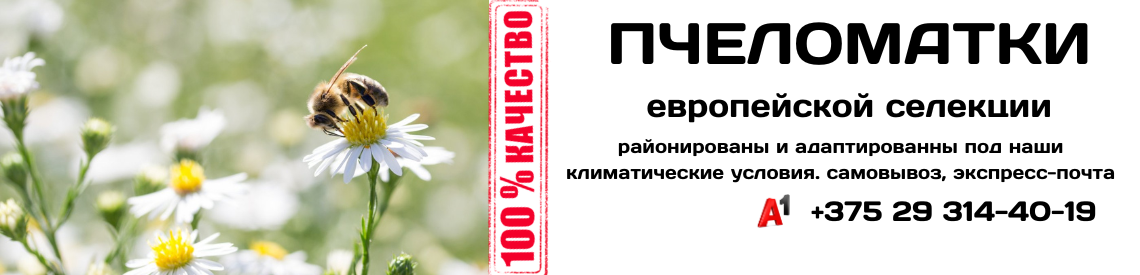 ПМ3