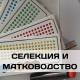 Селекция, матководство